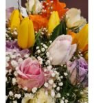 Lale & Renkli Güller