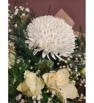 Anastasia & Beyaz Gül