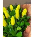 Sarı Laleler 10 Adet