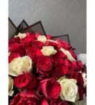 Kırmızı & Beyaz Gül