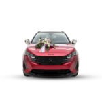 Gelin Arabası Çiçeği – Pembe & Lila Zarif Aranjman