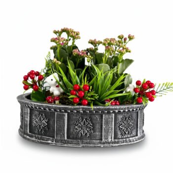 Beton Saksıda Mini Bahçe – Yapay Sukulent & Kalanchoe Aranjmanı