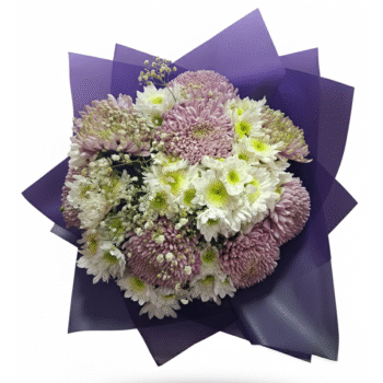 Öğretmenler Günü Lila Kasımpatı & Beyaz Papatya Buketi – Büyük ve Gösterişli Aranjman