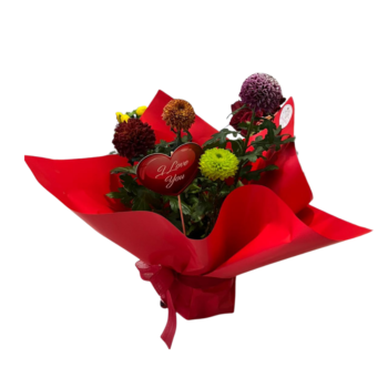 Aşkın Renkleri Krizantem