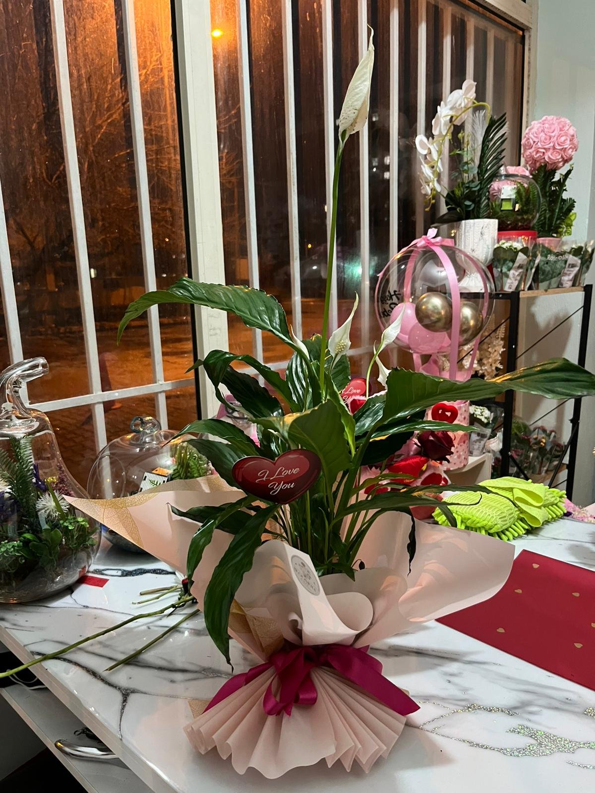 WhatsApp Image 2026-02-11 at 21.08.41